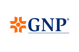 SEGURO PARA EL RETIRO
